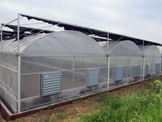 دفيئة بغشاء متعدد الاستخدامات لنمو الخضروات