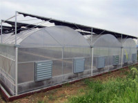 دفيئة بغشاء متعدد الاستخدامات لنمو الخضروات