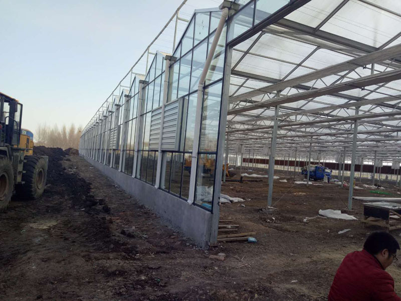 5mm Tek Katmanlı Temperli Venlo Cam Sera