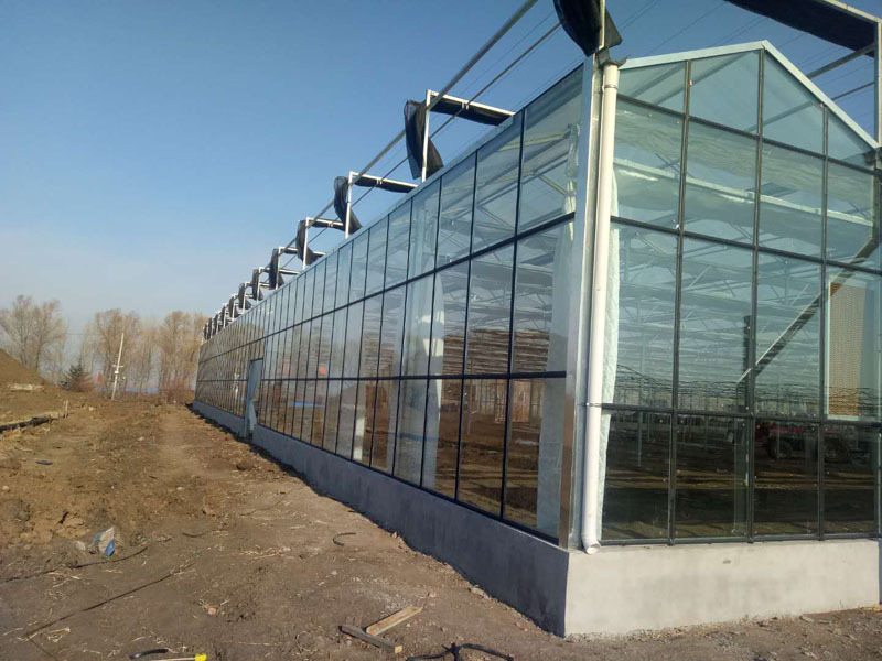 5mm Tek Katmanlı Temperli Venlo Cam Sera