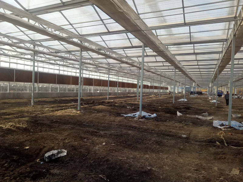 5mm Tek Katmanlı Temperli Venlo Cam Sera