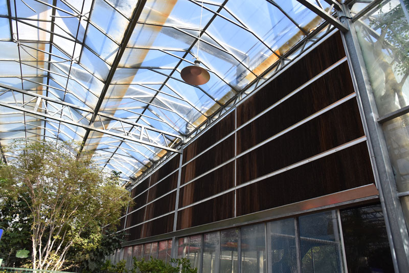 Agricultural Growing Tomato Glass Greenhouse