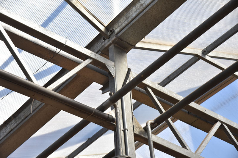 Agricultural Growing Tomato Glass Greenhouse