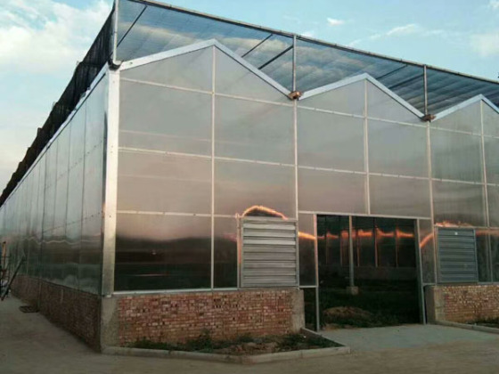 Venlo PC Domates Yetiştiriciliği İçin Sera