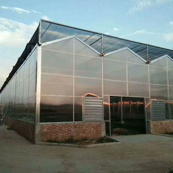 Rumah Hijau PC Venlo Untuk Penanaman Tomato