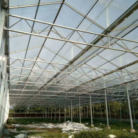 Rumah Hijau PC Venlo Untuk Penanaman Tomato