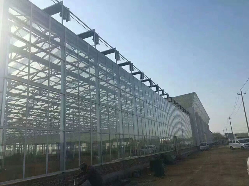 Qishloq xo'jaligida ishlatiladigan gidroponik shisha issiqxona