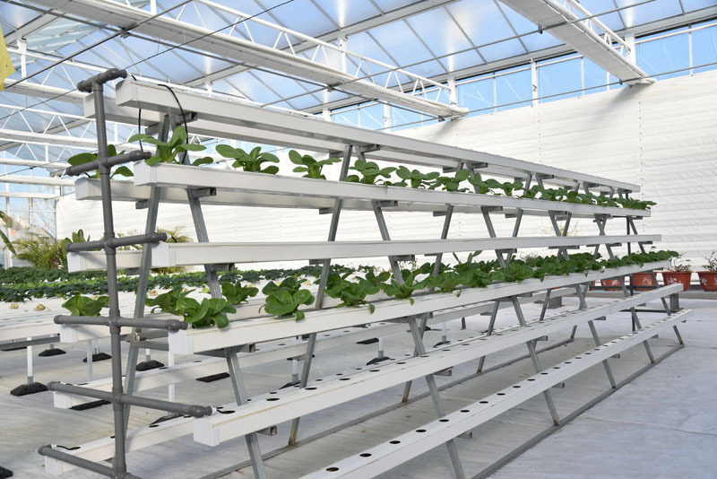 Qishloq xo'jaligida ishlatiladigan gidroponik shisha issiqxona