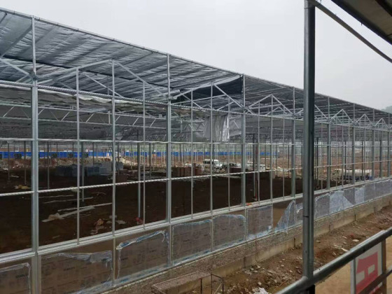 Ticari Cam Sera Ekolojik Restoran