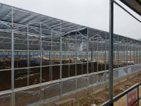 Ticari Cam Sera Ekolojik Restoran