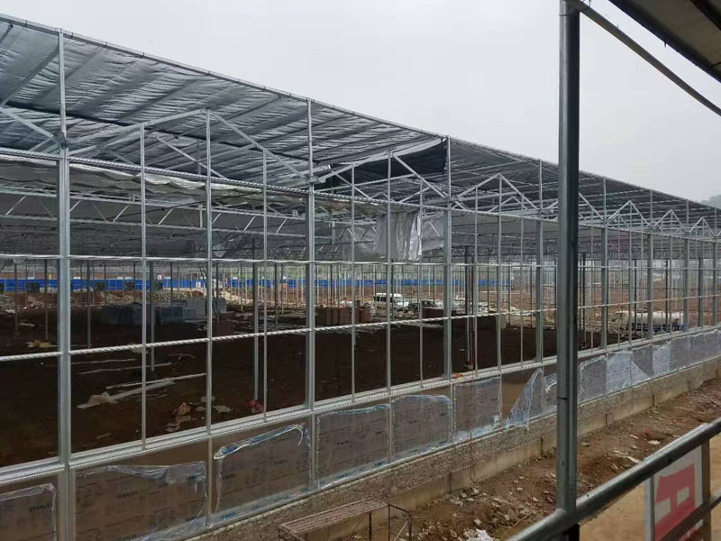 Ticari Cam Sera Ekolojik Restoran