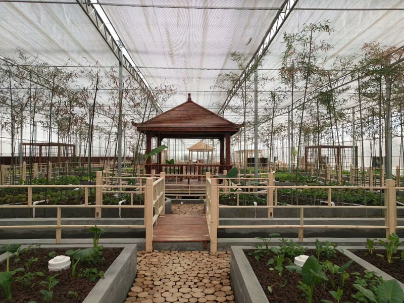 Ticari Cam Sera Ekolojik Restoran