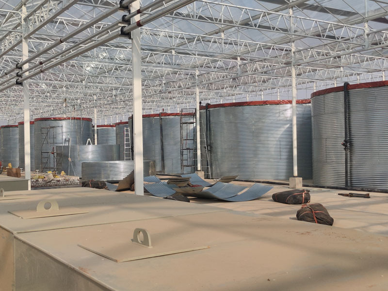 Hollanda Serası Venlo Cam Serası