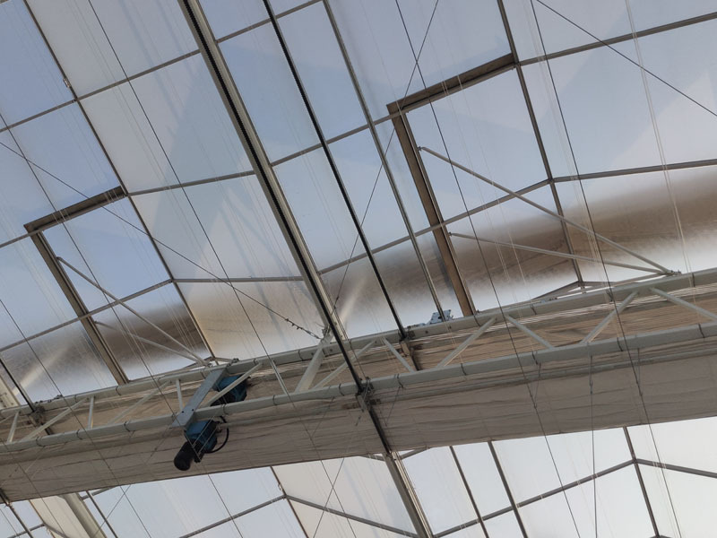 Hollanda Serası Venlo Cam Serası