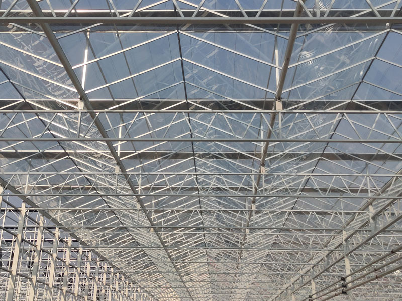 Hollanda Serası Venlo Cam Serası