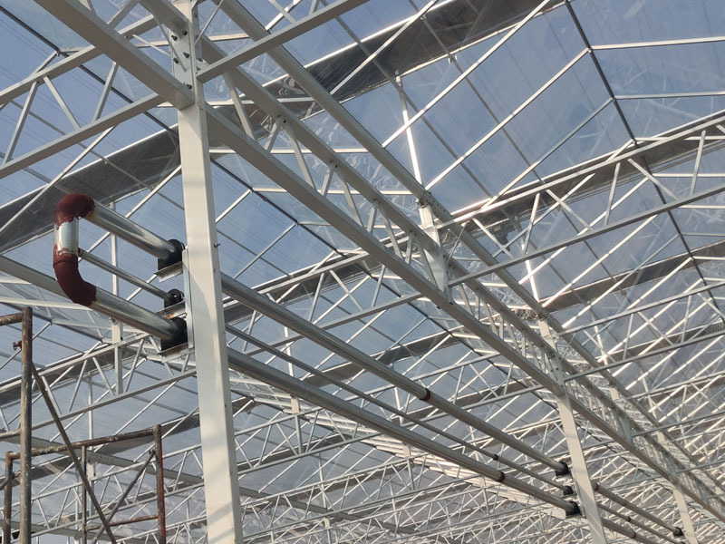 Hollanda Serası Venlo Cam Serası