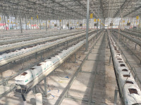 Domates Hidroponik Sistemli Hollanda Serası