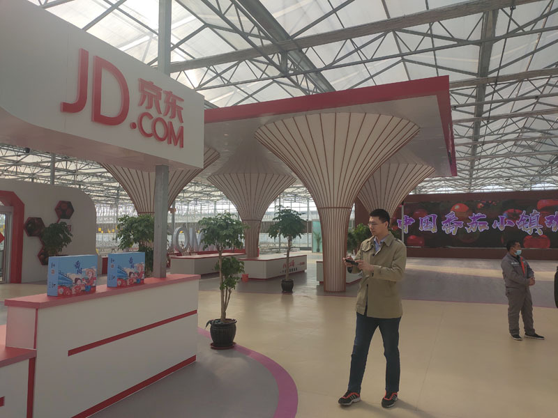 Domates Hidroponik Sistemli Hollanda Serası