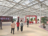 Domates Hidroponik Sistemli Hollanda Serası