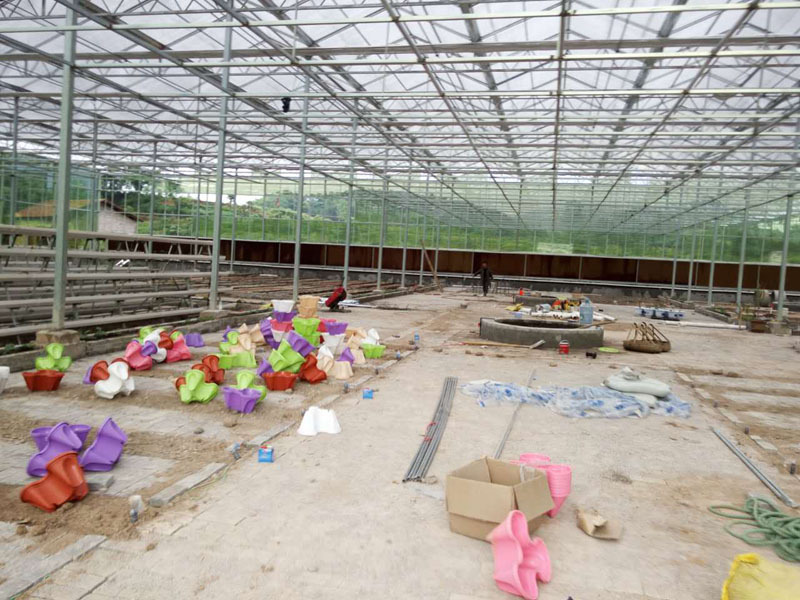 Domates Hidroponik Sistemli Hollanda Serası