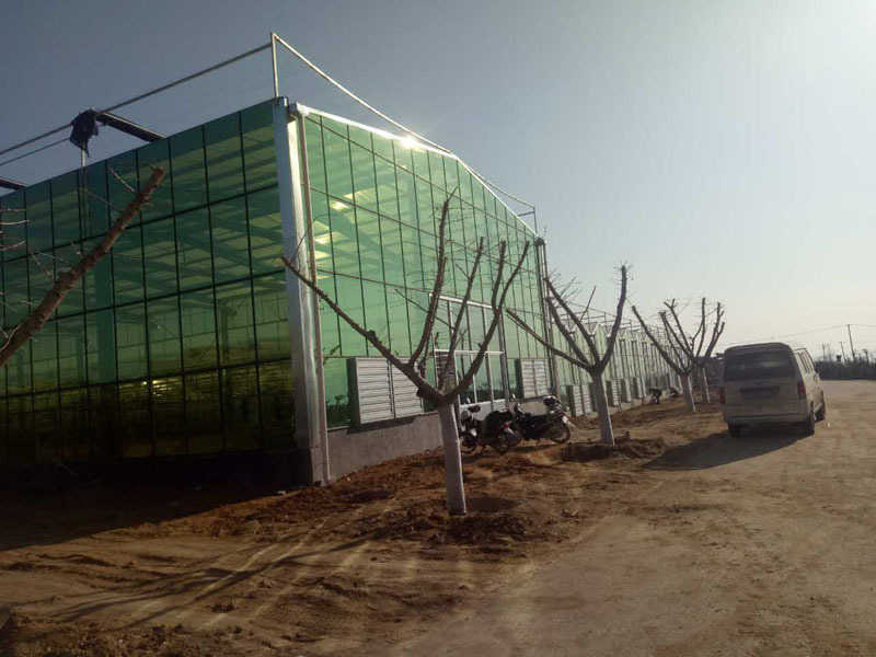 Çin Sera Kullanılmış Cam Ve Akıllı Sistem