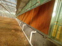 Çin Sera Kullanılmış Cam Ve Akıllı Sistem