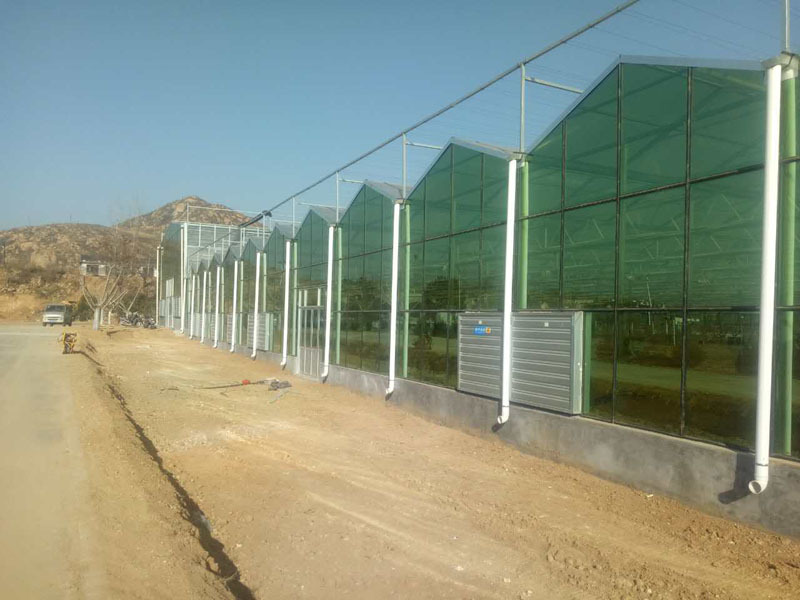 Çin Sera Kullanılmış Cam Ve Akıllı Sistem