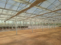 Çin Sera Kullanılmış Cam Ve Akıllı Sistem