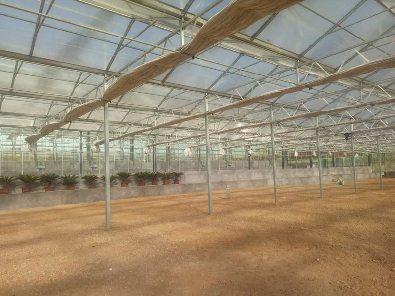 Çin Sera Kullanılmış Cam Ve Akıllı Sistem