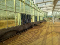 Çin Sera Kullanılmış Cam Ve Akıllı Sistem