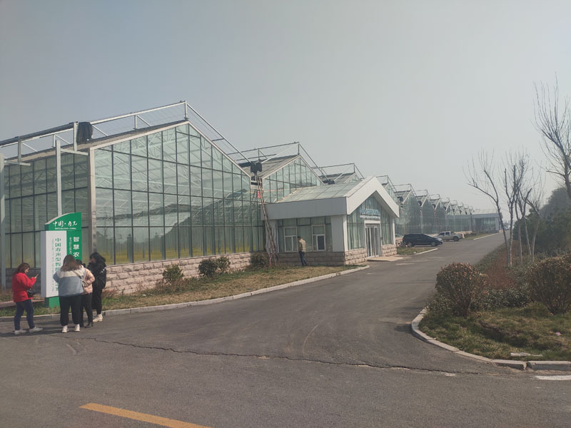 Akıllı Sistemli Sunshine Glass Yeşil Ev