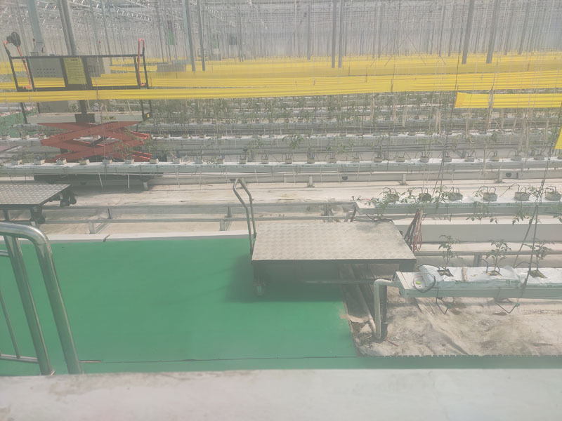 Akıllı Sistemli Sunshine Glass Yeşil Ev