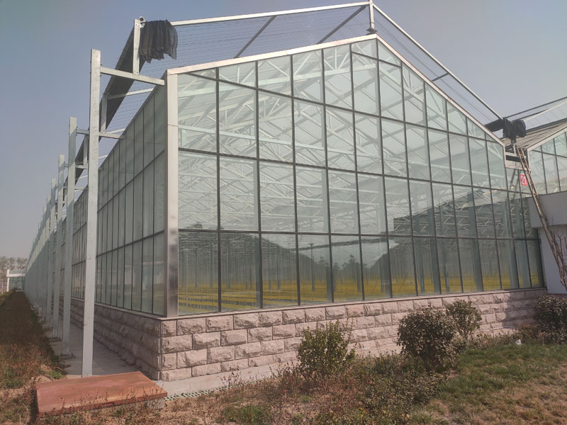 Akıllı Sistemli Sunshine Glass Yeşil Ev