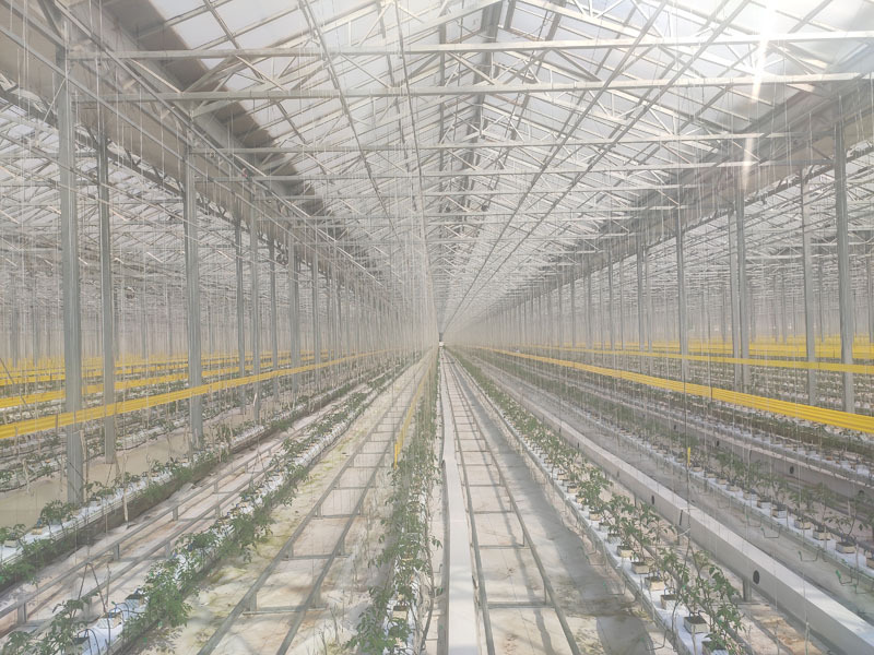 Akıllı Sistemli Sunshine Glass Yeşil Ev