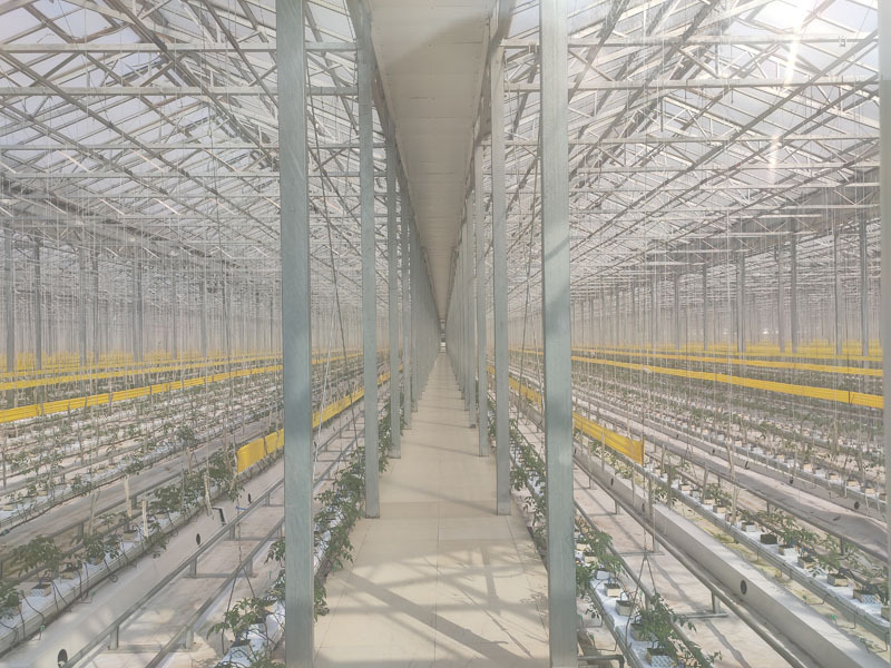 Akıllı Sistemli Sunshine Glass Yeşil Ev