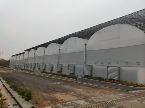 Invernadero de película plástica de múltiples capas