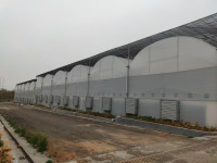 Многопролетная пластиковая пленочная теплица