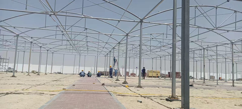 Многопролетная пластиковая пленочная теплица