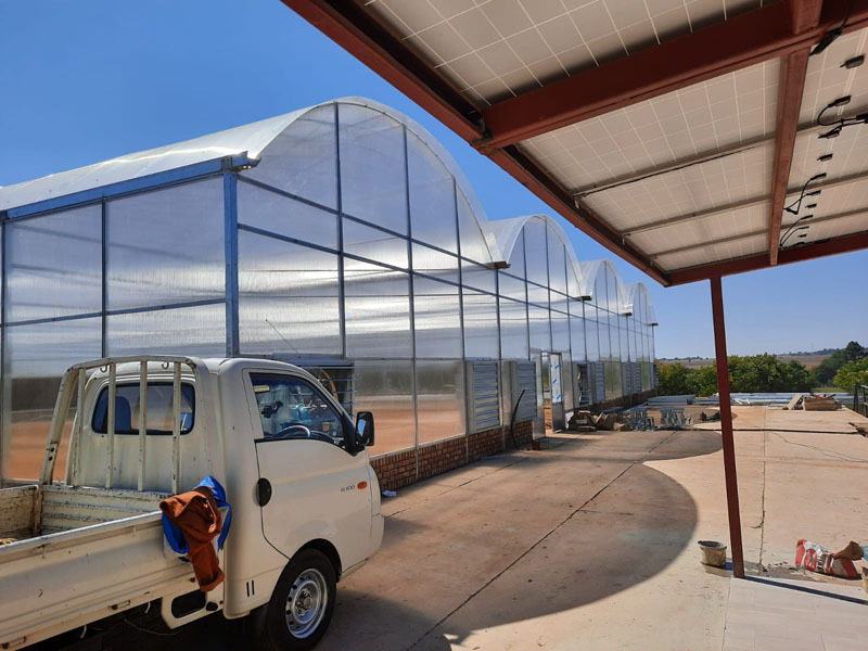 Serre tunnel en polycarbonate à travées multiples