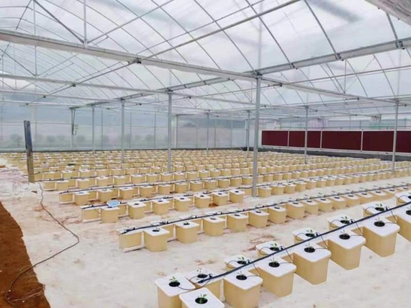 Serre tunnel en polycarbonate à travées multiples