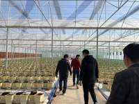 Serre tunnel en polycarbonate à travées multiples