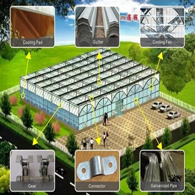 Serre fruitière avec contrôle environnemental