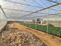 Serre à travées multiples en polycarbonate