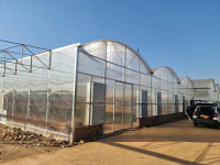 Serre à travées multiples en polycarbonate