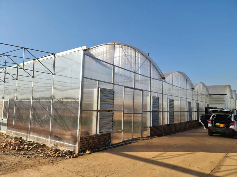 Serre à travées multiples en polycarbonate