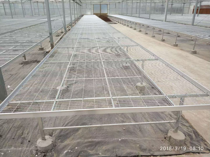 フィルムカバー付きカスタマイズされた温室