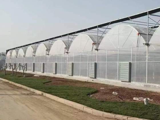 カスタマイズされたマルチスパントンネルフィルム温室