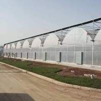 カスタマイズされたマルチスパントンネルフィルム温室