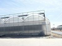 カスタマイズされたマルチスパントンネルフィルム温室