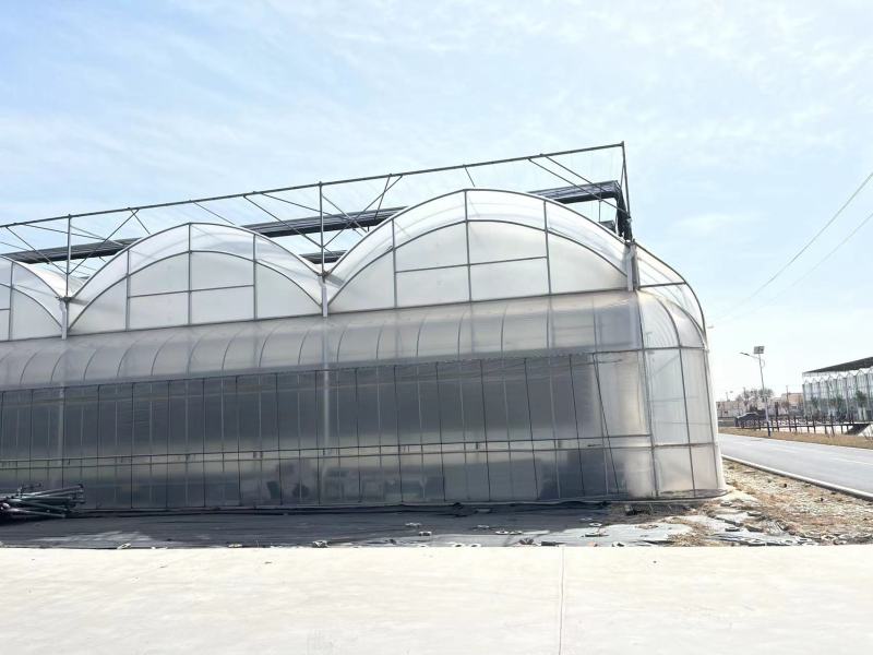 カスタマイズされたマルチスパントンネルフィルム温室